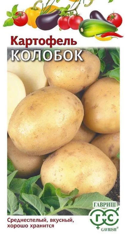 Картофель Колобок