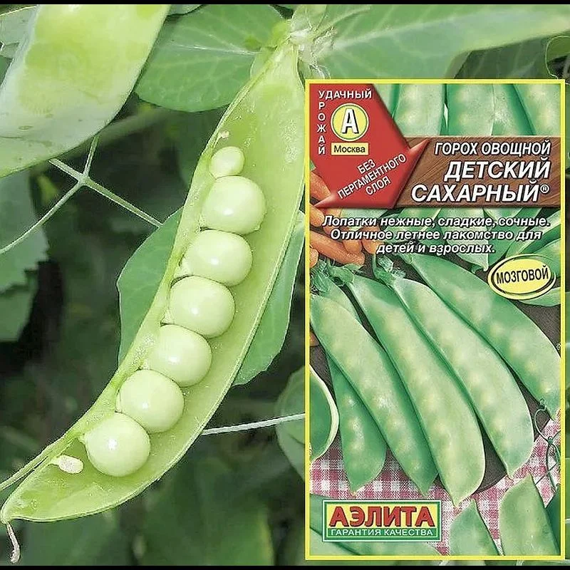 Семена Горох овощной Детский сахарный ®: описание сорта, фото - купить сдоставкой или почтой России