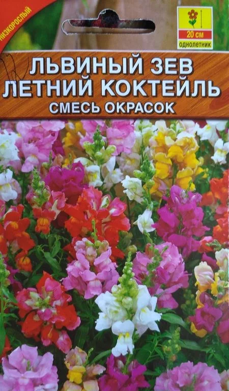 Семена Львиный зев Летний коктейль, смесь сортов: описание сорта, фото ...