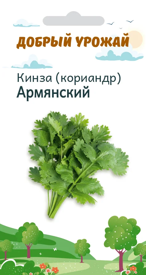  Кинза (кориандр) Армянский: описание сорта, фото -  с .