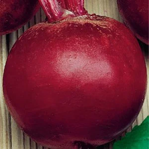 Свекла Богема: особенности и характеристики сорта