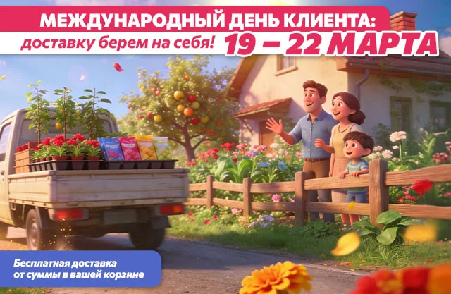 День клиента