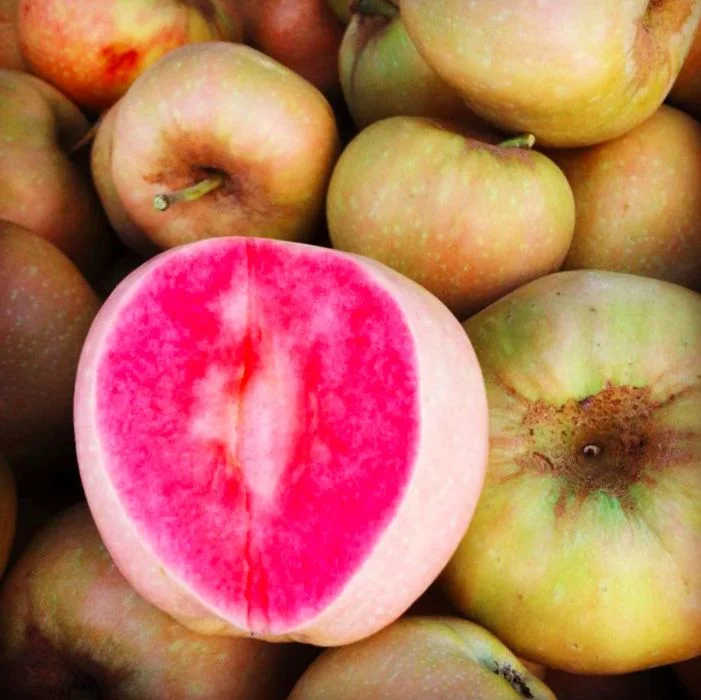 Яблоня с красной мякотью Пинк Перл (Розовый Жемчуг)