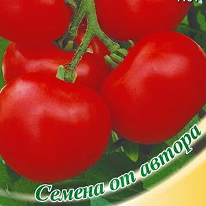 Помидоры Жираф Фото