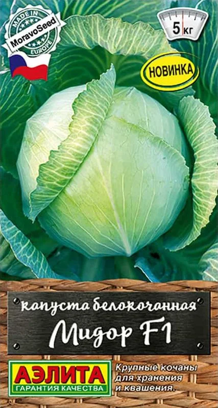 Капуста б/к Мидор F1 - с бесплатной доставкой можно купить в интернет магазине с