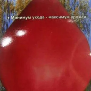 Семена Томат F1 Обские купола : описание сорта, фото - купить с доставкойили почтой России