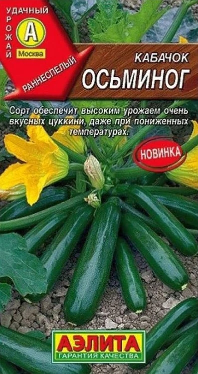 кабачок осьминог