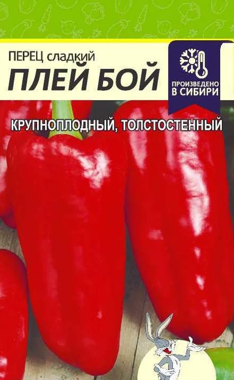 Семена Перец сладкий Плей Бой: описание сорта, фото - купить с доставкойили почтой России