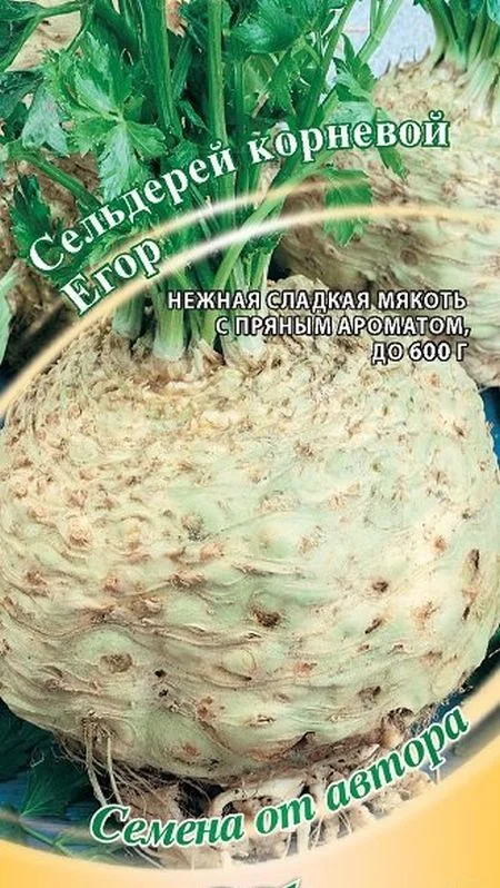 Семена Сельдерей корневой Егор*: описание сорта, фото - купить с доставкойили почтой России