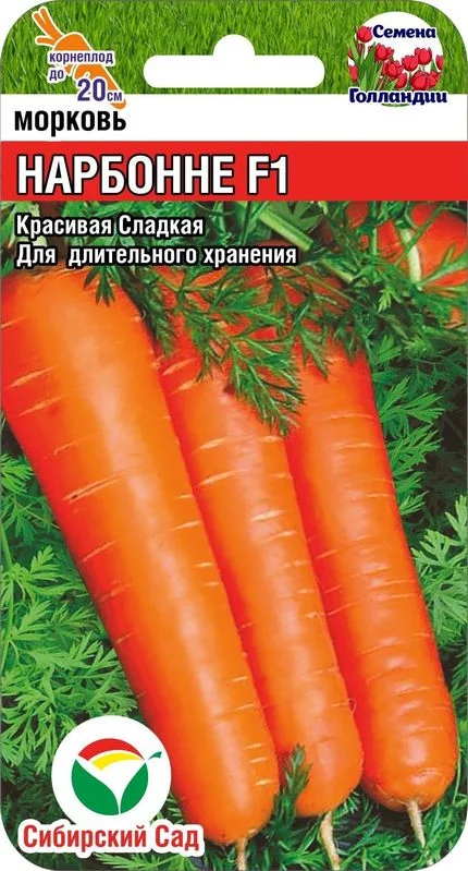 Уникальные черты моркови Нарбонне