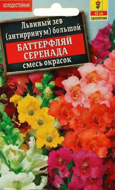 Львиный зев Баттерфляй Серенада