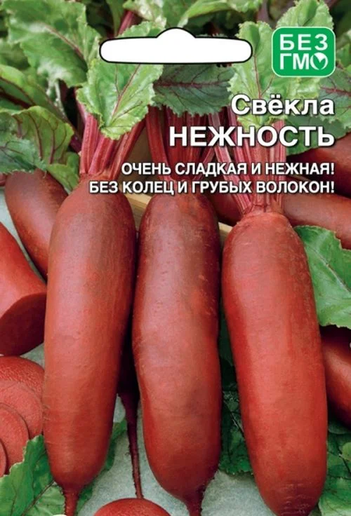 Свекла Нежность описание и характеристики сорта, фото, отзывы