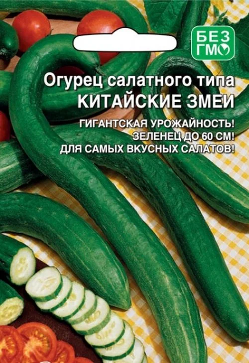 Огурец китайский змей описание отзывы. Огурцы салатные Уральский Дачник. Уральский Дачник огурец салатного типа. Китайский салатный огурец змей. Семена огурцов китайский змей.