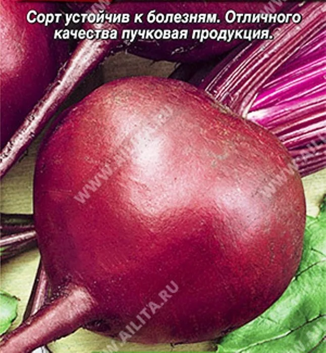 Семена Свекла столовая Бордовый шар ®: описание сорта, фото - купить сдоставкой или почтой России