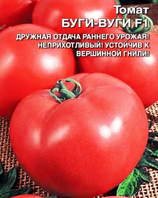 Томат Буги Вуги: описание, характеристики, посадка и уход, болезни и вредители, отзывы