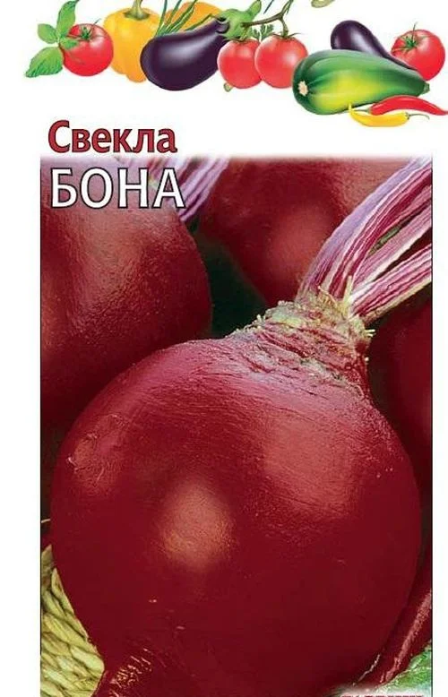 Свекла Бона описание сорта, фото и отзывы