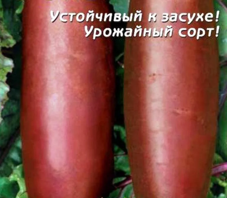 Свекла Рокет Купить Семена