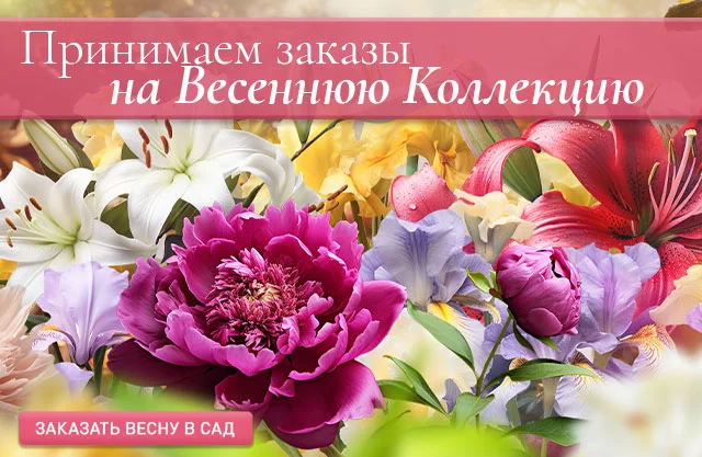Весенняя коллекция 2024!