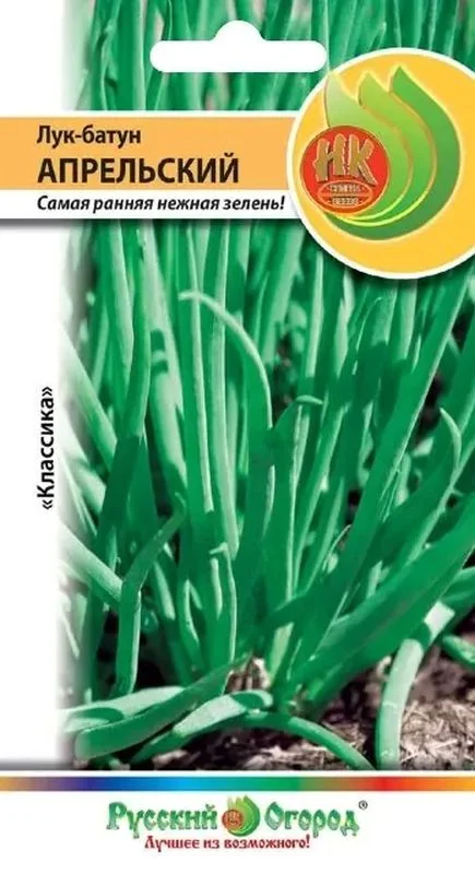 Лук батун апрельский выращивание из семян. Лук батун апрельский. Семена лук батун апрельский. Лук батун многолетний сорта. Семена русский огород лук батун русский.