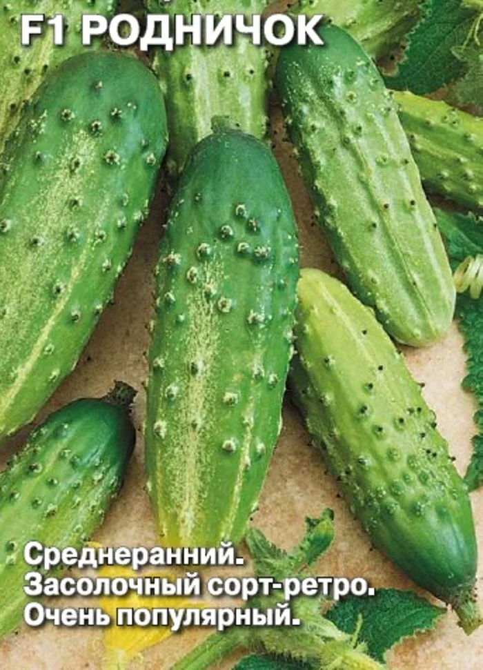 Огурец родничок