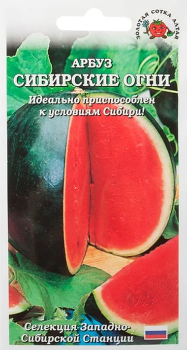 Семена Арбуз Сибирские огни: описание сорта, фото - купить с доставкой илипочтой России