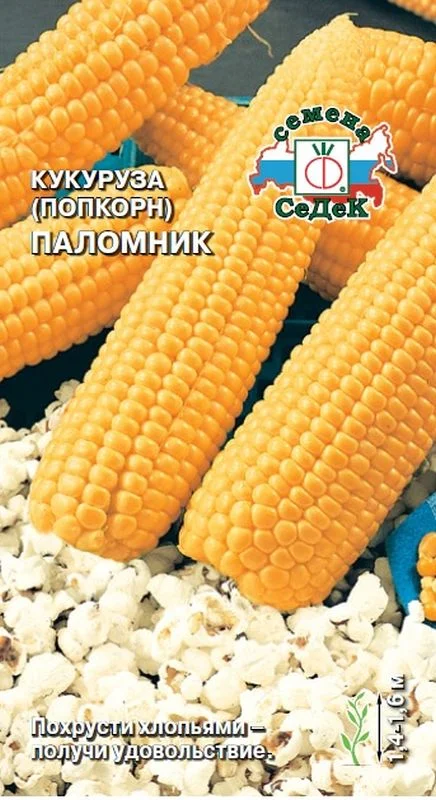 Кукуруза Паломник (поп-корн)
