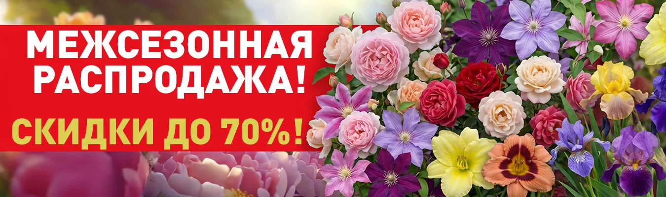 Межсезонная распродажа