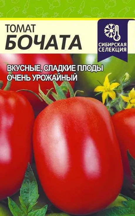 Томат Бочата: описание сорта помидоров, характеристики. Посадка, выращивание, болезни и вредители. Отзывы.