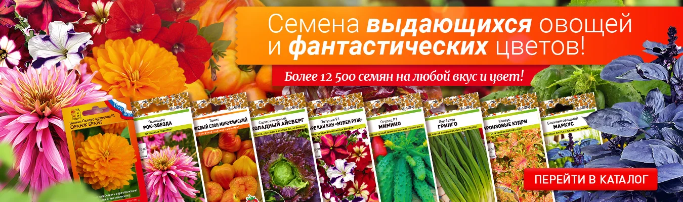 Купить Семена Почтой Русский Огород