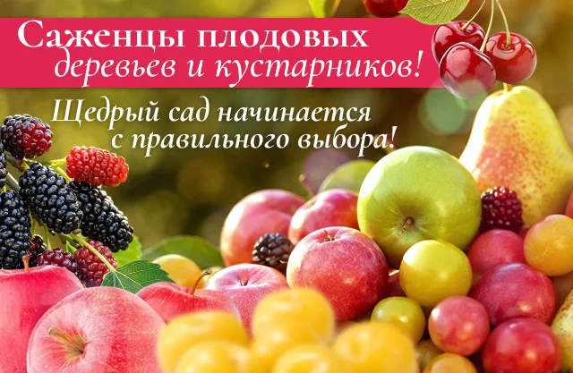 Плодово-ягодные