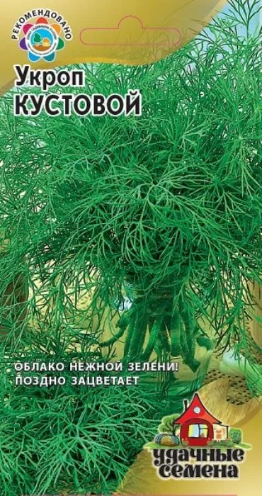 Сорта укропа для Казахстана названия, фото, описание