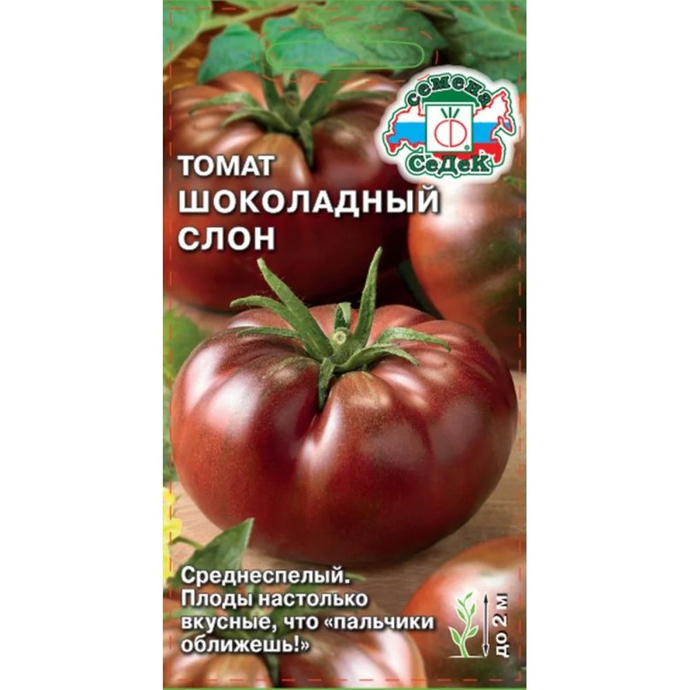 Томат Шоколадная Сливка Купить Семена