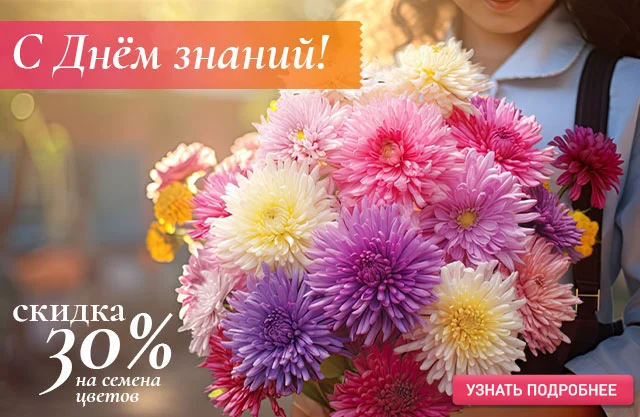 День знаний