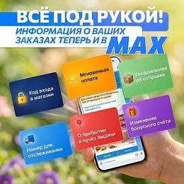 Следить за заказами ещё проще – теперь и в MAX!