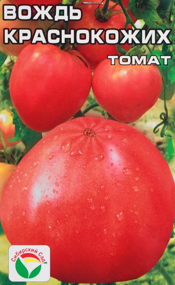 Семена Томат Вождь краснокожих : описание сорта, фото - купить с доставкойили почтой России