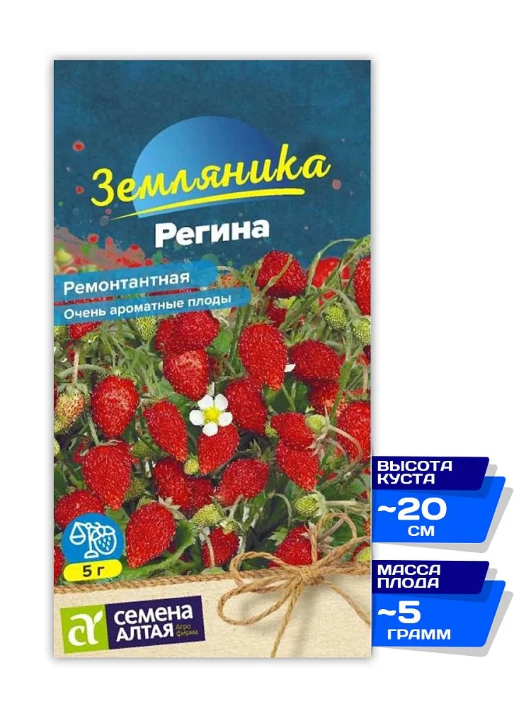 Земляника Регина: описание сорта, фото, отзывы, характеристика, урожайность, достоинства и недостатки