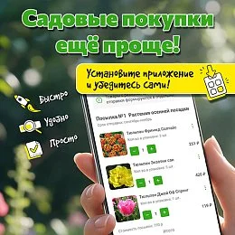 Мы запустили мобильное приложение!