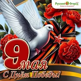 С 80-летием Великой Победы!